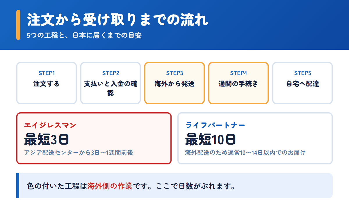 エイジレスマンとライフパートナーの注文から受け取りまでの流れと日数の目安