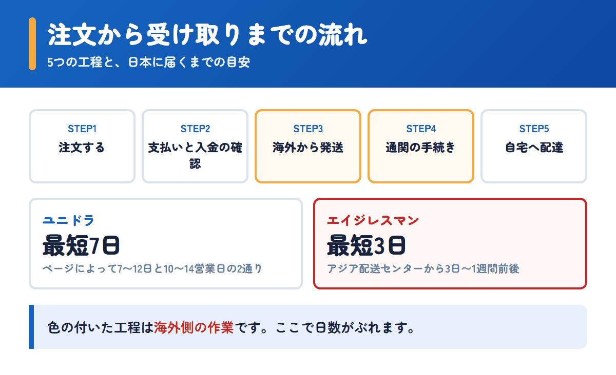 ユニドラとエイジレスマンの注文から受け取りまでの流れと日数の目安
